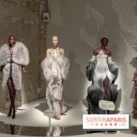 L’exposition retrospective de la créatrice de mode Iris Van Herpen au Musée des Arts Décoratifs - image00021