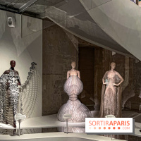 L’exposition retrospective de la créatrice de mode Iris Van Herpen au Musée des Arts Décoratifs - image00030