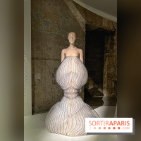 L’exposition retrospective de la créatrice de mode Iris Van Herpen au Musée des Arts Décoratifs - image00032
