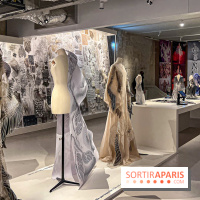 L’exposition retrospective de la créatrice de mode Iris Van Herpen au Musée des Arts Décoratifs - image00040