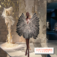 L’exposition retrospective de la créatrice de mode Iris Van Herpen au Musée des Arts Décoratifs - image00053
