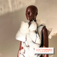 L’exposition retrospective de la créatrice de mode Iris Van Herpen au Musée des Arts Décoratifs - image00065