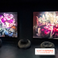 L’exposition retrospective de la créatrice de mode Iris Van Herpen au Musée des Arts Décoratifs - image00079