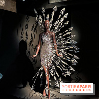 L’exposition retrospective de la créatrice de mode Iris Van Herpen au Musée des Arts Décoratifs - image00090