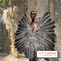 L’exposition retrospective de la créatrice de mode Iris Van Herpen au Musée des Arts Décoratifs - image00101