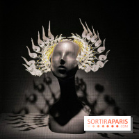 L’exposition retrospective de la créatrice de mode Iris Van Herpen au Musée des Arts Décoratifs - image00102