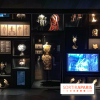 L’exposition retrospective de la créatrice de mode Iris Van Herpen au Musée des Arts Décoratifs