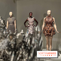L’exposition retrospective de la créatrice de mode Iris Van Herpen au Musée des Arts Décoratifs - image00119