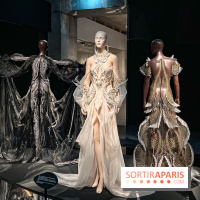 L’exposition retrospective de la créatrice de mode Iris Van Herpen au Musée des Arts Décoratifs - image00124