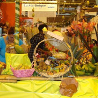 Foire de Paris 2010 - Hall 4 - Richesses du Monde