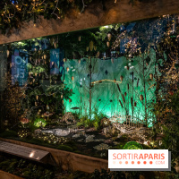 Marché de Noël de l'Hôtel de Ville 2023 spécial JO 2024 -  A7C9528