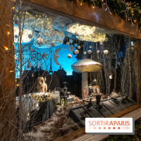 Marché de Noël de l'Hôtel de Ville 2023 spécial JO 2024 -  A7C9538