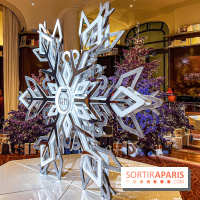 Noël 2023 à l'hôtel Royal Monceau Raffles Paris - image00006