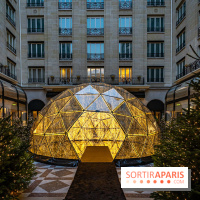 Le Four Seasons George V et ses décorations de fêtes -  A7C9881 2