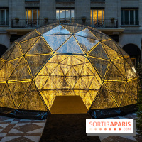 Le Four Seasons George V et ses décorations de fêtes -  A7C9880 2