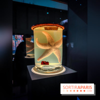 Objectif mer, l'exposition autour du 7e art à découvrir au musée de la Marine - nos photos - IMG20231207103735