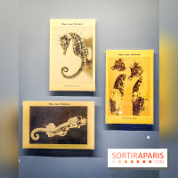 Objectif mer, l'exposition autour du 7e art à découvrir au musée de la Marine - nos photos - IMG20231207104112