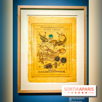 Objectif mer, l'exposition autour du 7e art à découvrir au musée de la Marine - nos photos - IMG20231207103843