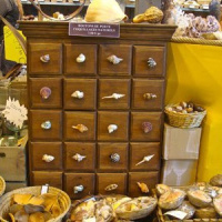 Foire de Paris - Hall 4 - Richesses du Monde