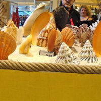 Foire de Paris - Hall 4 - Richesses du Monde