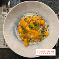Ma Dame, le restaurant de l'hôtel Marignan Champs-Elysées - Risotto fregola sarda butternut