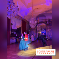 La Belle et la Bête, le spectacle au château de Maisons-Laffitte - nos photos - image00034