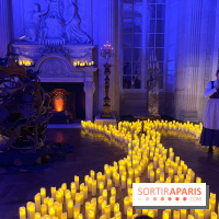 La Belle et la Bête, le spectacle au château de Maisons-Laffitte - nos photos - image00012