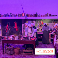 La Belle et la Bête, le spectacle au château de Maisons-Laffitte - nos photos - image00010