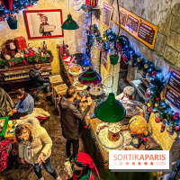 Noël au Parc Astérix 2023, sentier de lumières et patinoire - IMG 4933