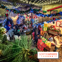 Noël au Parc Astérix 2023, sentier de lumières et patinoire - IMG 4935