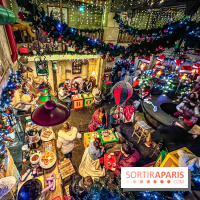 Noël au Parc Astérix 2023, sentier de lumières et patinoire - IMG 4936