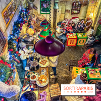 Noël au Parc Astérix 2023, sentier de lumières et patinoire - IMG 4939