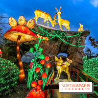 Noël au Parc Astérix 2023, sentier de lumières et patinoire - IMG 4973