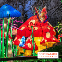 Noël au Parc Astérix 2023, sentier de lumières et patinoire