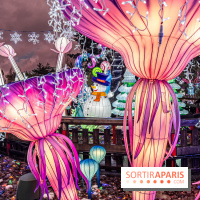 Noël au Parc Astérix 2023, sentier de lumières et patinoire - IMG 4994