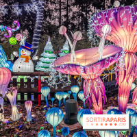 Noël au Parc Astérix 2023, sentier de lumières et patinoire - IMG 4996