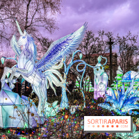 Noël au Parc Astérix 2023, sentier de lumières et patinoire - IMG 5003