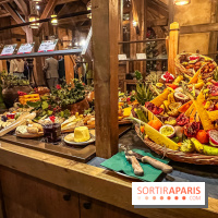 Réveillon de Noël et du Nouvel an à la Cité Suspendue du Parc Astérix - IMG 4736