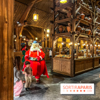 Réveillon de Noël et du Nouvel an à la Cité Suspendue du Parc Astérix - IMG 4745