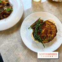 Le Boréal - Saint-Jacques gratinée