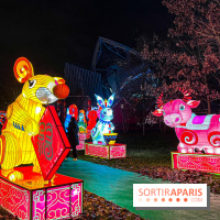 Festival Dragons et Lanternes - Jardin d'Acclimatation - image00035