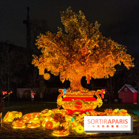 Festival Dragons et Lanternes - Jardin d'Acclimatation - image00037