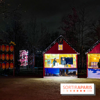 Festival Dragons et Lanternes - Jardin d'Acclimatation - image00060