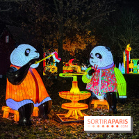 Festival Dragons et Lanternes - Jardin d'Acclimatation - image00166