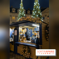 Le chalet de Noël du Ritz et son carrousel gratuit -  A7C0399