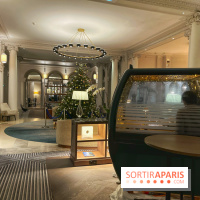 Fondue au Marriott Opera - IMG 7691