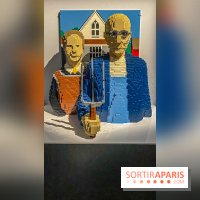 Expo The Art of The Brick Galerie Montparnasse - IMG 2985