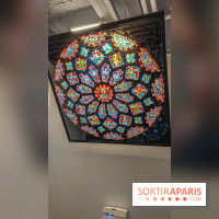 Expo The Art of The Brick Galerie Montparnasse - IMG 2987