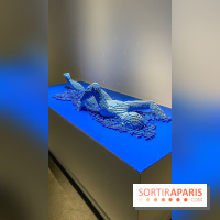 Expo The Art of The Brick Galerie Montparnasse - IMG 3030