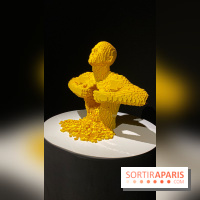 Expo The Art of The Brick Galerie Montparnasse - IMG 3034